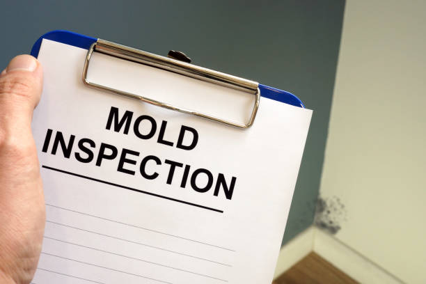 Best Biohazard Mold Removal  in Ephraim, UT